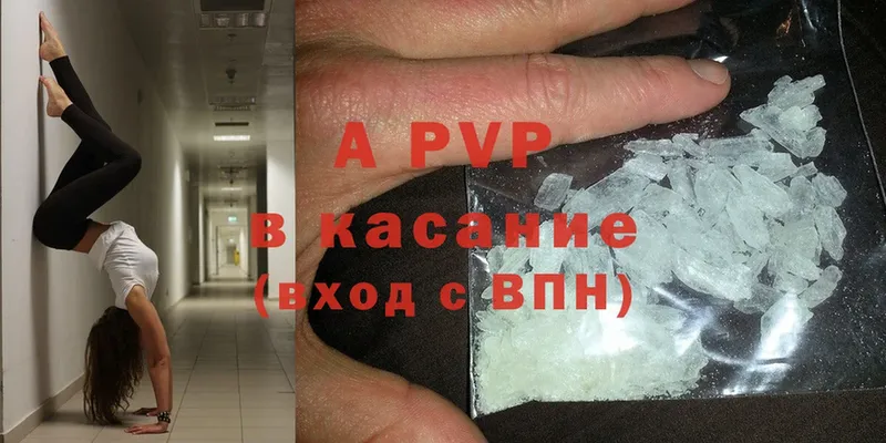 APVP СК  Орлов 